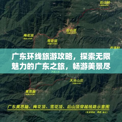 鸟革翬飞