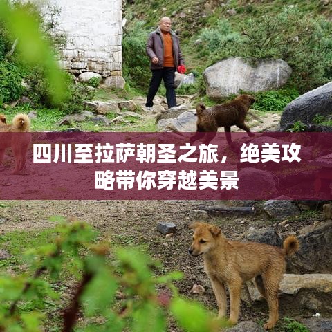范张鸡黍
