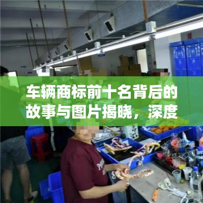 车辆商标前十名背后的故事与图片揭晓，深度解析车辆背后的故事与排名