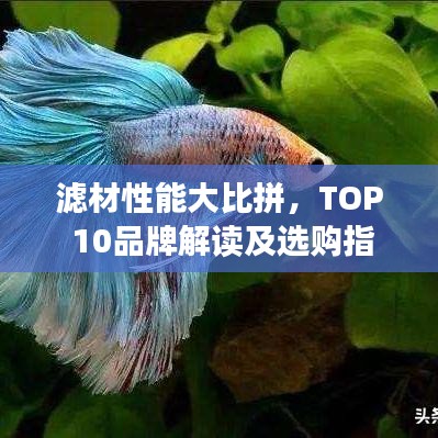 滤材性能大比拼，TOP 10品牌解读及选购指南