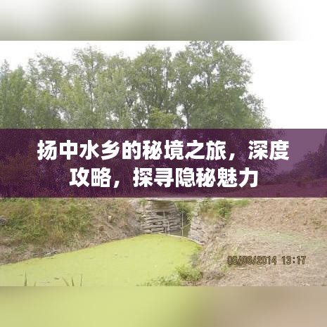 扬中水乡的秘境之旅，深度攻略，探寻隐秘魅力
