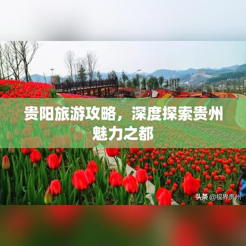 贵阳旅游攻略，深度探索贵州魅力之都