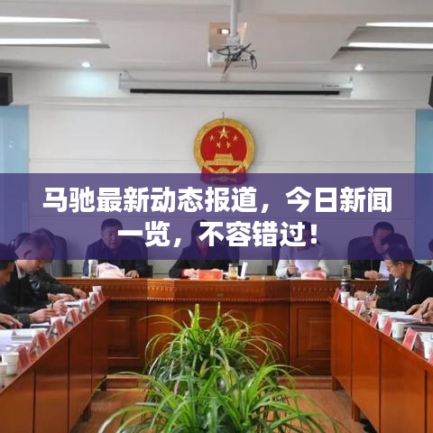 马驰最新动态报道，今日新闻一览，不容错过！