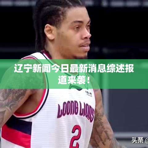 十全十美