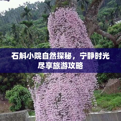 石斛小院自然探秘，宁静时光尽享旅游攻略