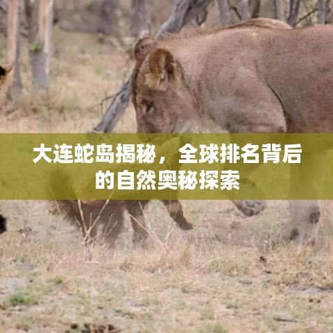 司空见惯