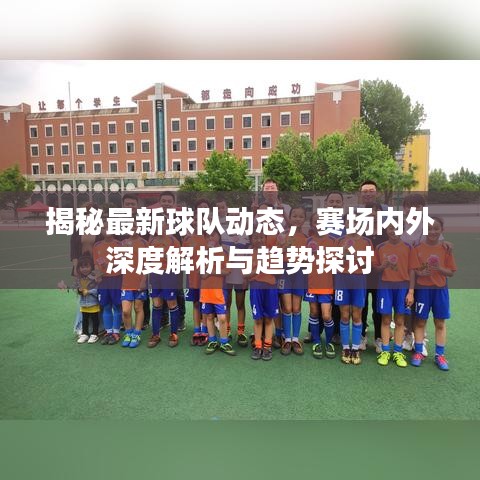 揭秘最新球队动态，赛场内外深度解析与趋势探讨