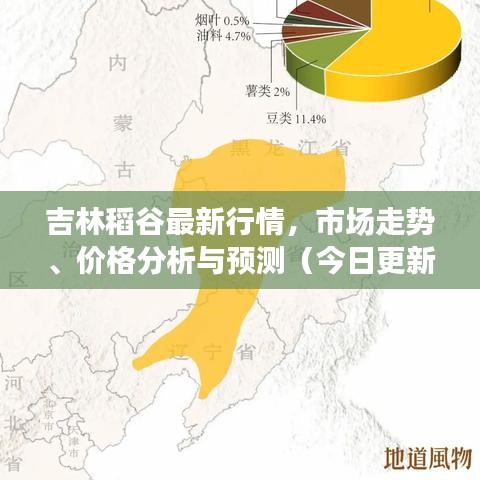 吉林稻谷最新行情，市场走势、价格分析与预测（今日更新）