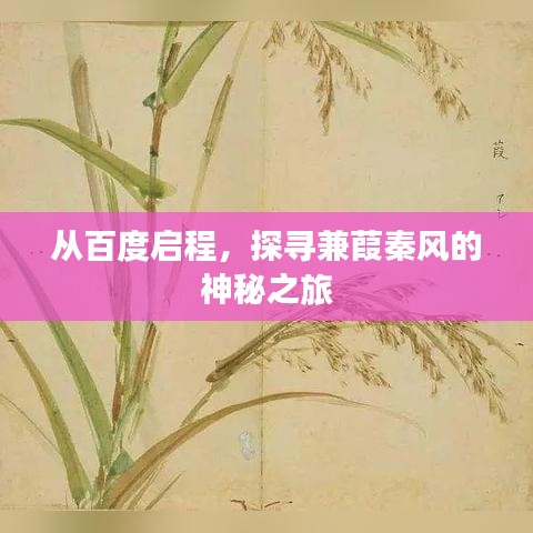 从百度启程，探寻兼葭秦风的神秘之旅