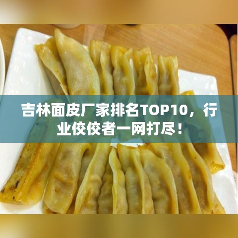 吉林面皮厂家排名TOP10，行业佼佼者一网打尽！