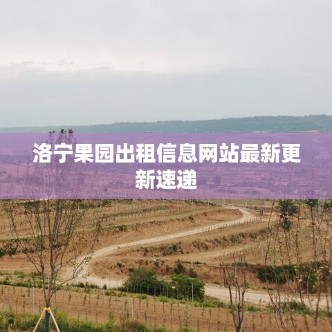 洛宁果园出租信息网站最新更新速递
