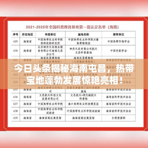 恋恋不舍