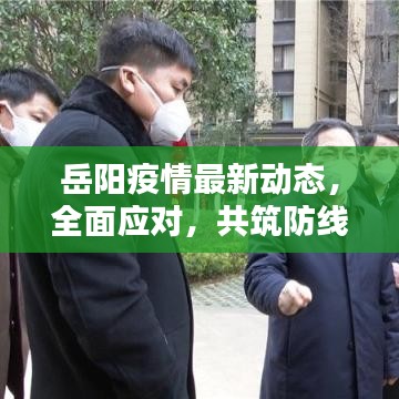 岳阳疫情最新动态，全面应对，共筑防线