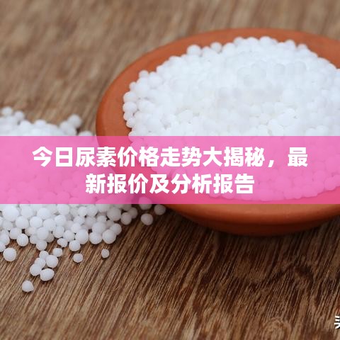 大张旗鼓
