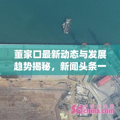 尽心竭力