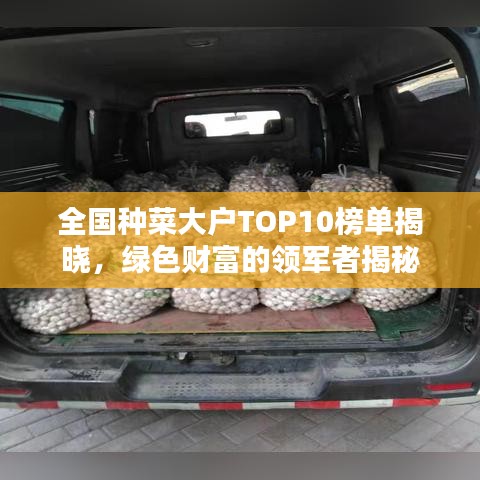 眉飞色舞