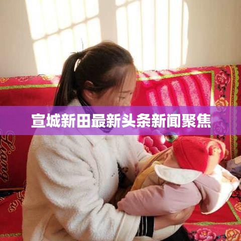 朴素无华