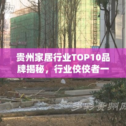 贵州家居行业TOP10品牌揭秘，行业佼佼者一览无余