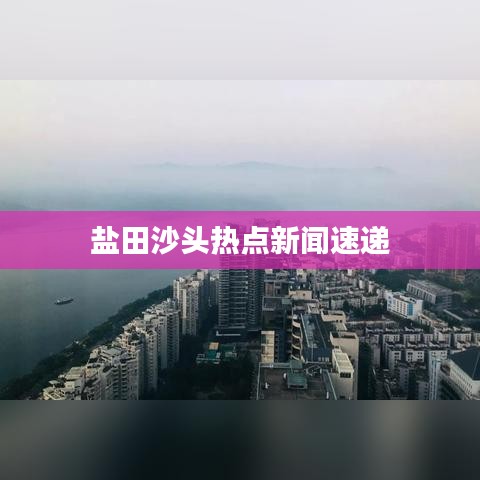 盐田沙头热点新闻速递