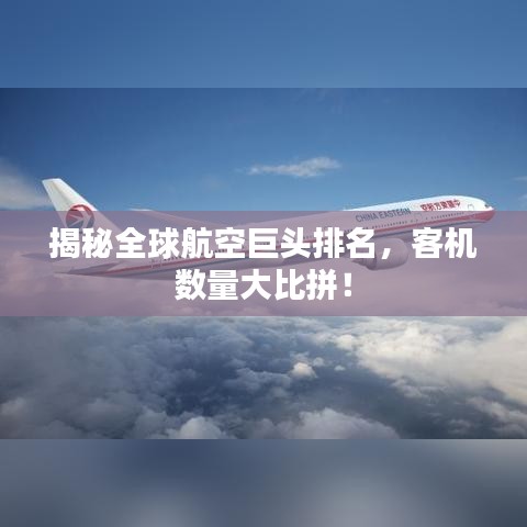 揭秘全球航空巨头排名，客机数量大比拼！