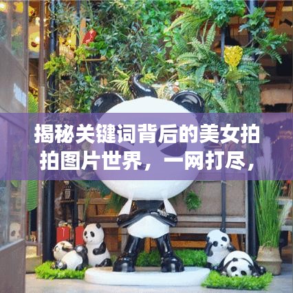 揭秘关键词背后的美女拍拍图片世界，一网打尽，美女美图大揭秘！