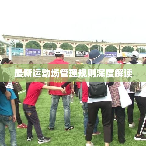最新运动场管理规则深度解读