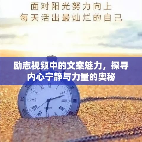 手不释卷