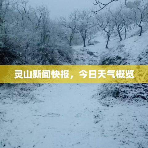 灵山新闻快报，今日天气概览
