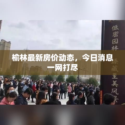 诚心诚意