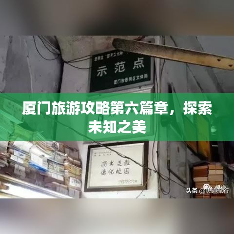 眼张失道