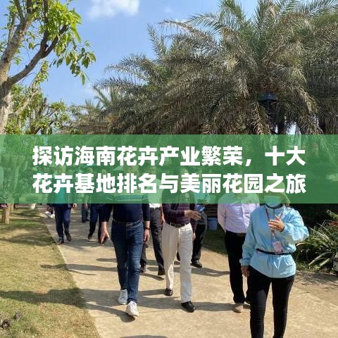 羊肠鸟道