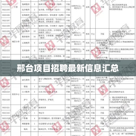 邢台项目招聘最新信息汇总