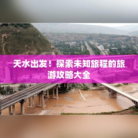 飞禽走兽