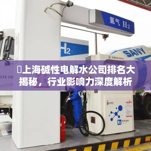 ​上海碱性电解水公司排名大揭秘，行业影响力深度解析