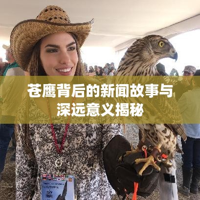 苍鹰背后的新闻故事与深远意义揭秘