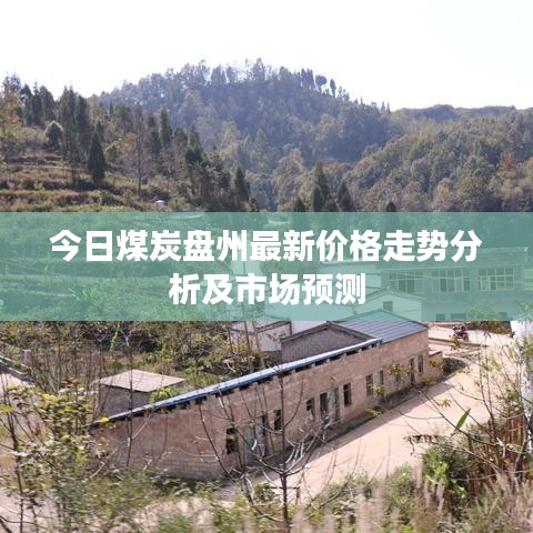 今日煤炭盘州最新价格走势分析及市场预测