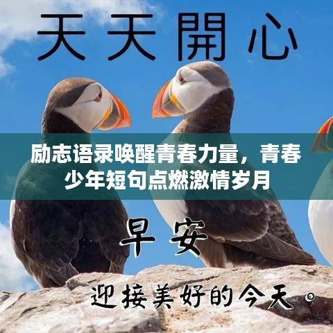 风华绝代