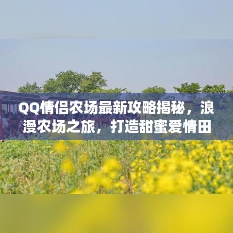 十年磨剑