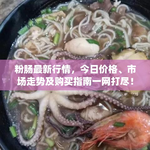 令行禁止
