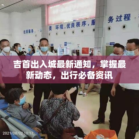 虫蚀鸟步