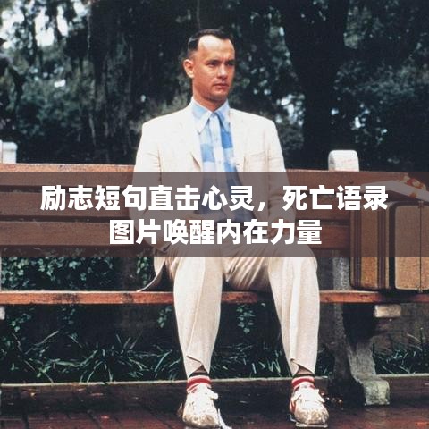 鸟飞兔走