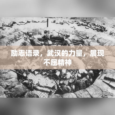 奔走如飞