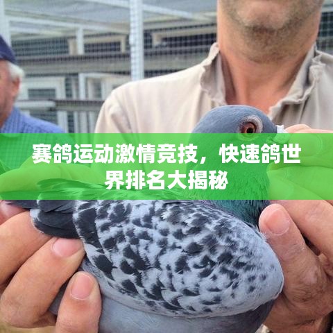 作舍道边