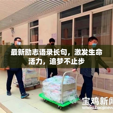 观往知来