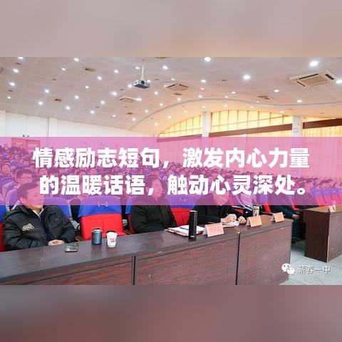 半新不旧