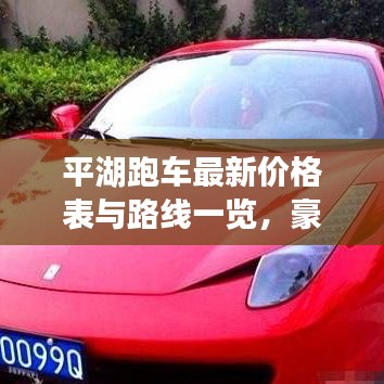 雍容典雅