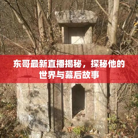 东哥最新直播揭秘，探秘他的世界与幕后故事
