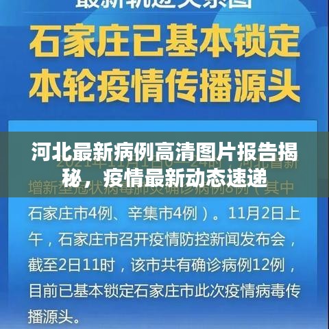 河北最新病例高清图片报告揭秘，疫情最新动态速递