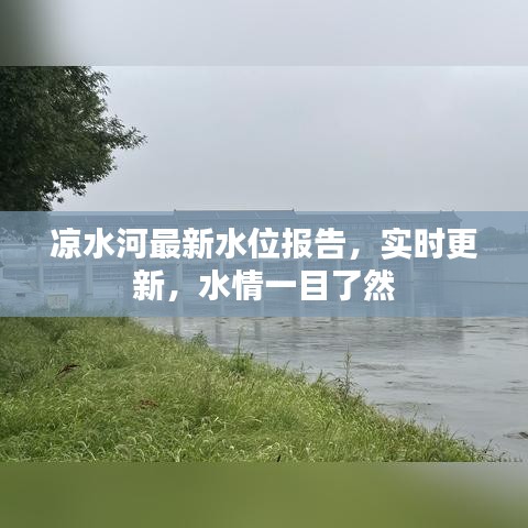凉水河最新水位报告，实时更新，水情一目了然