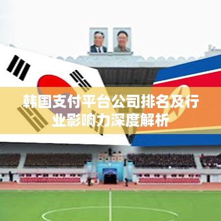 韩国支付平台公司排名及行业影响力深度解析